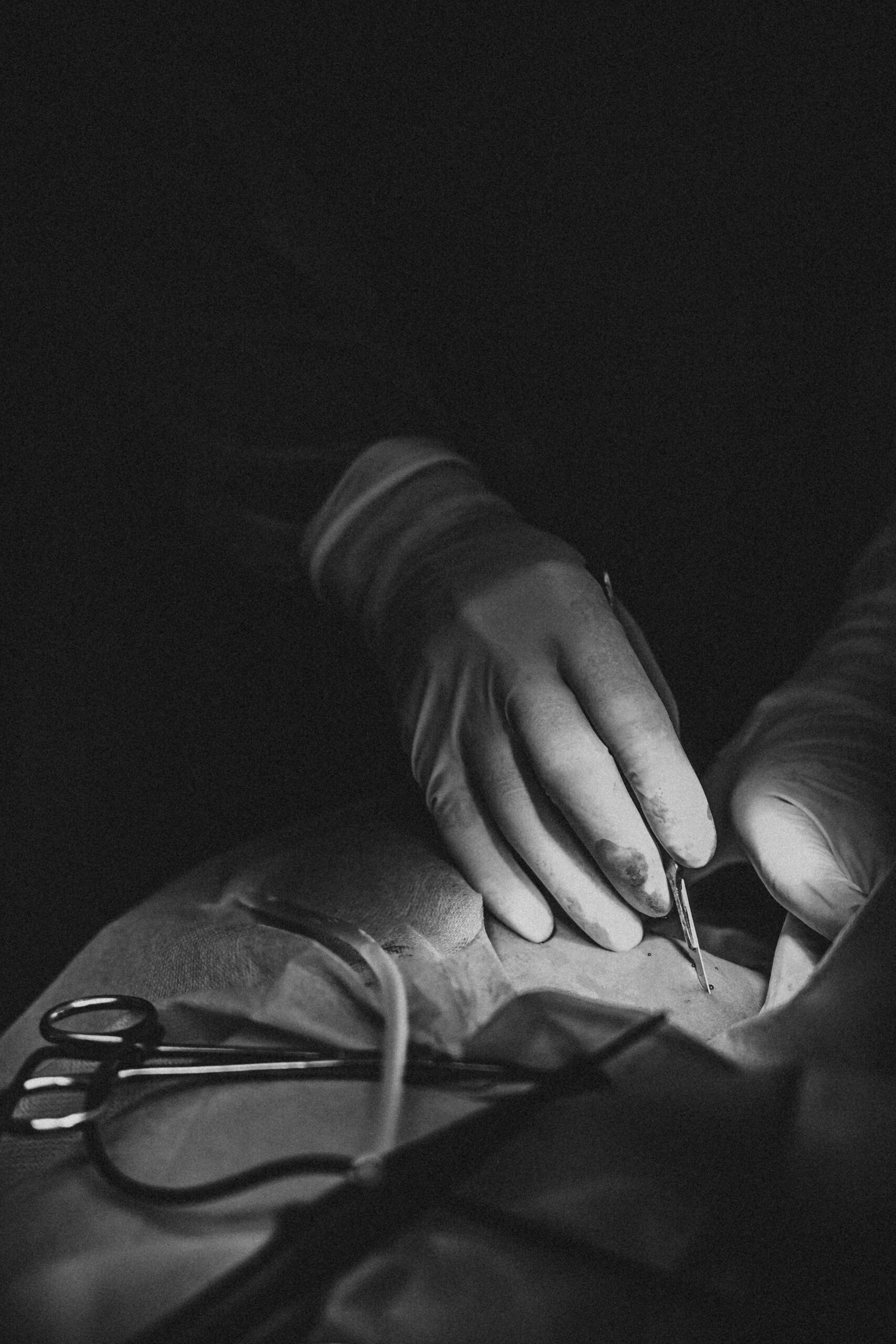 Chirurgie cutanée de base